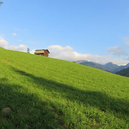 Hotel Pension Muehlbachhof Alpbach Zewnętrze zdjęcie