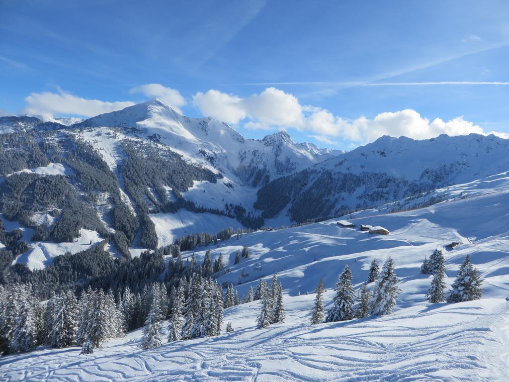 Hotel Pension Muehlbachhof Alpbach Zewnętrze zdjęcie