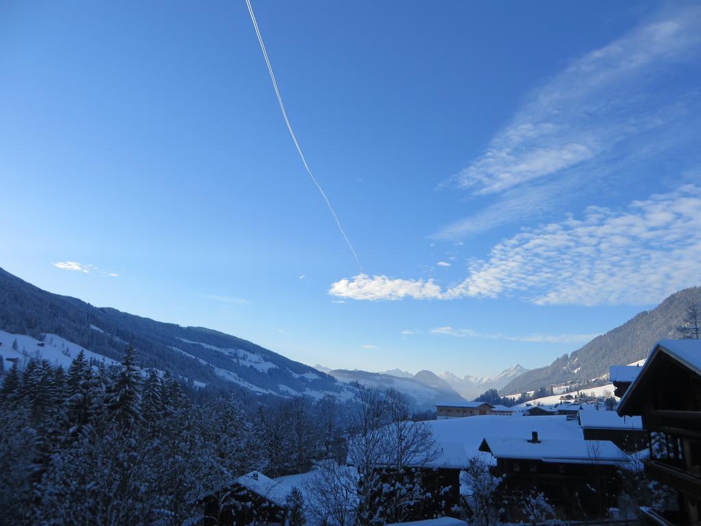 Hotel Pension Muehlbachhof Alpbach Zewnętrze zdjęcie