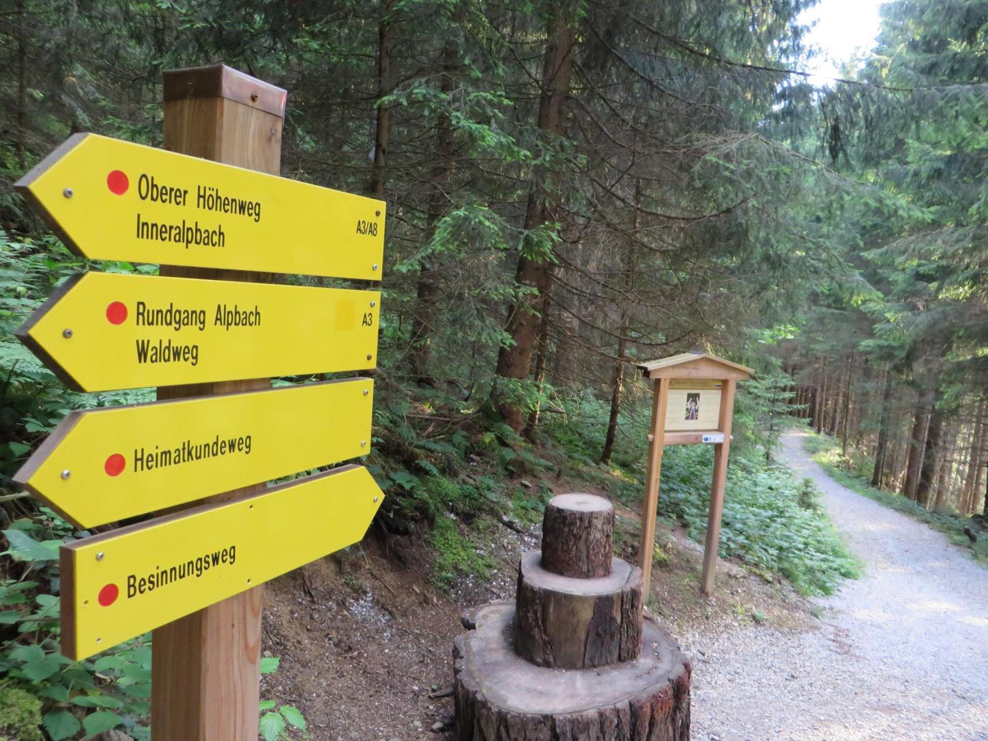Pension Muehlbachhof Alpbach Zewnętrze zdjęcie