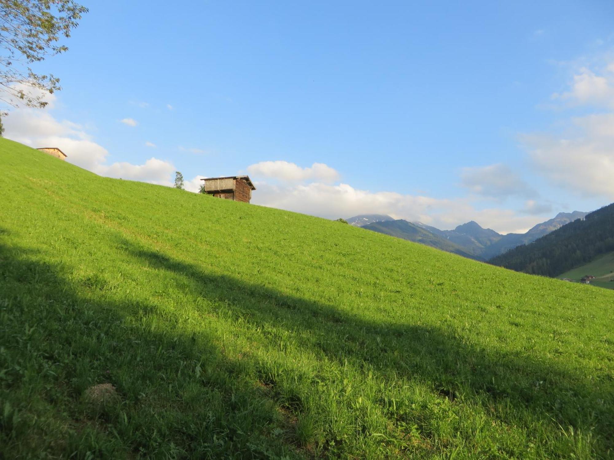 Hotel Pension Muehlbachhof Alpbach Zewnętrze zdjęcie