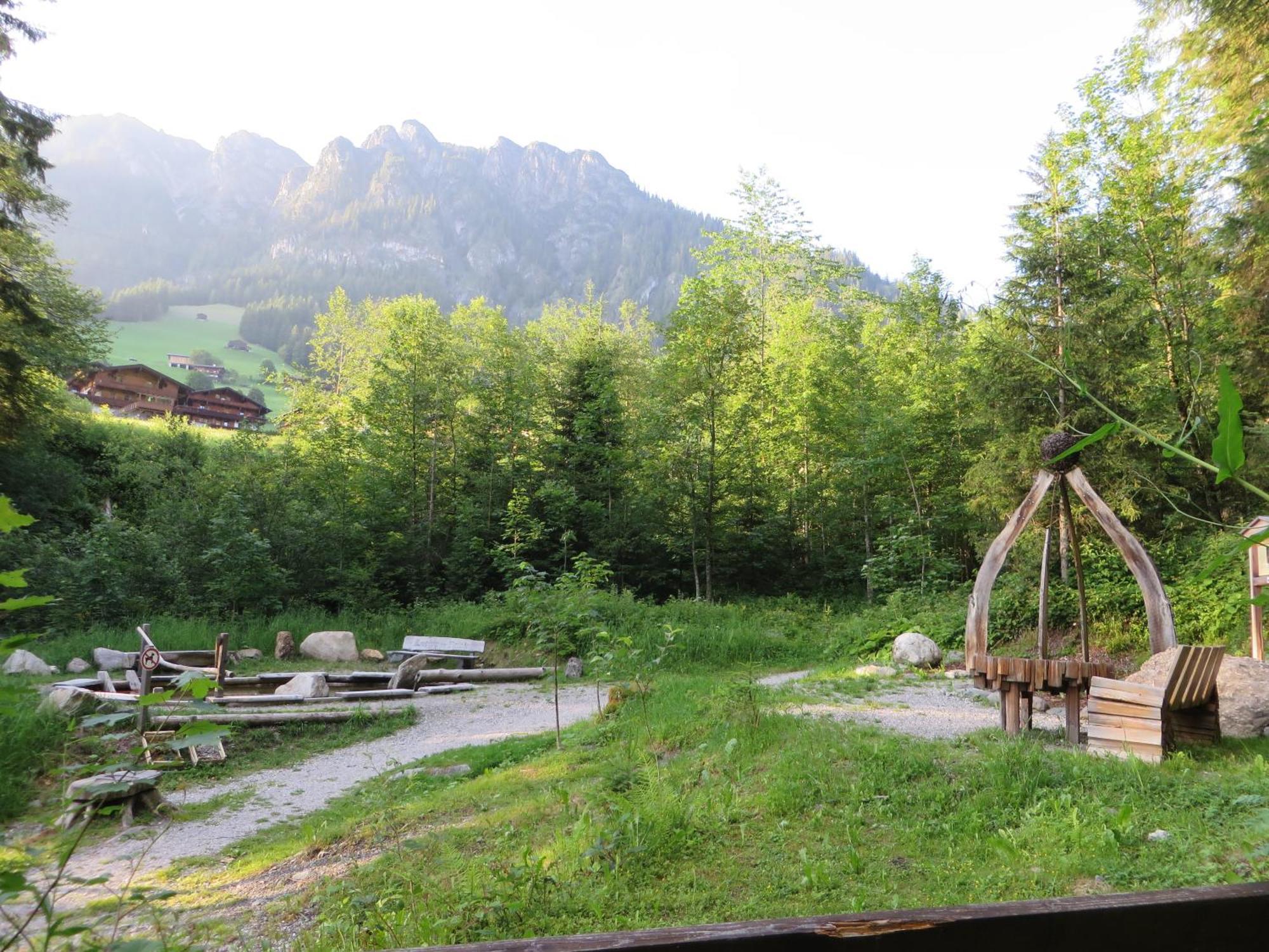 Hotel Pension Muehlbachhof Alpbach Zewnętrze zdjęcie