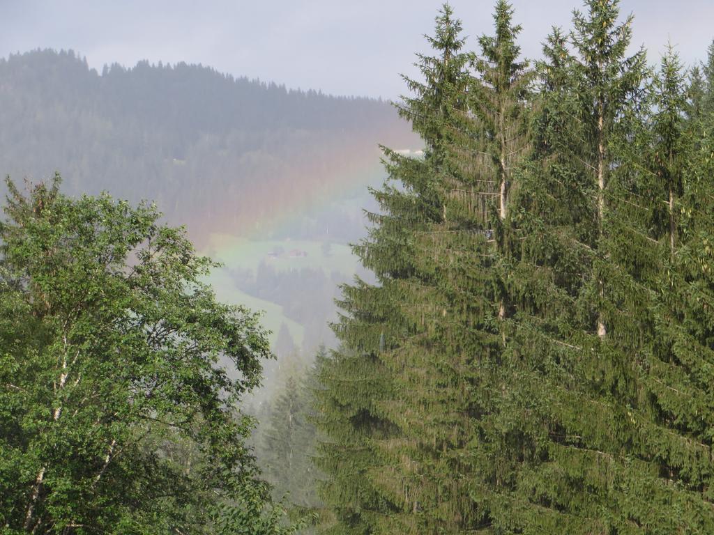 Hotel Pension Muehlbachhof Alpbach Zewnętrze zdjęcie